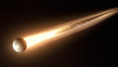 BD+05 4868 A
